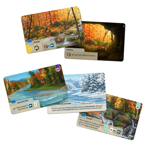 Forest Shuffle - Smoky Mountains