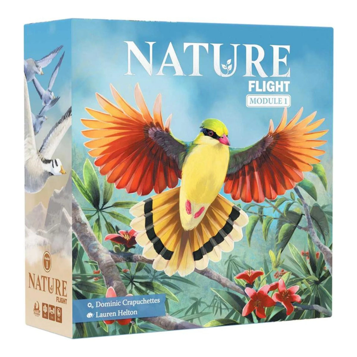 Nature - Module 1: Flight