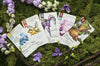 Botany: Floral Dragons