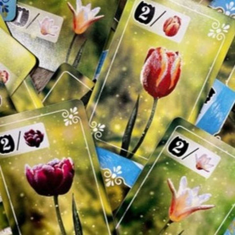 Orleans - Second Edition