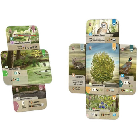 Forest Shuffle - Dartmoor