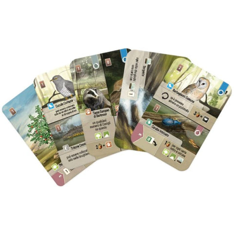 Forest Shuffle - Dartmoor