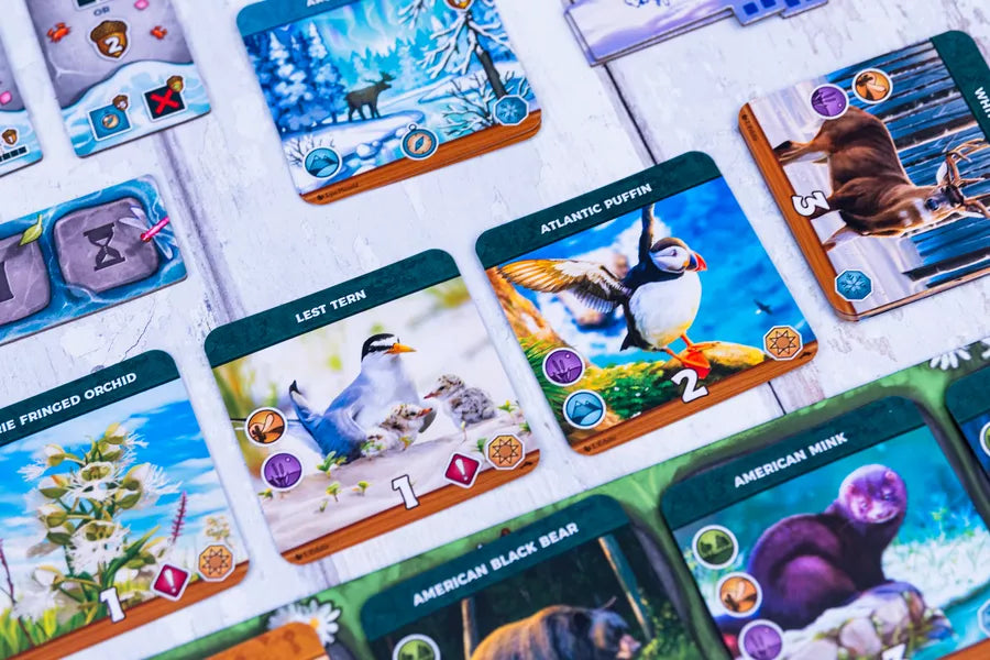 Keystone North America - Coastal Expansion