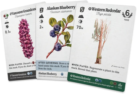 Reforest: Old Growth