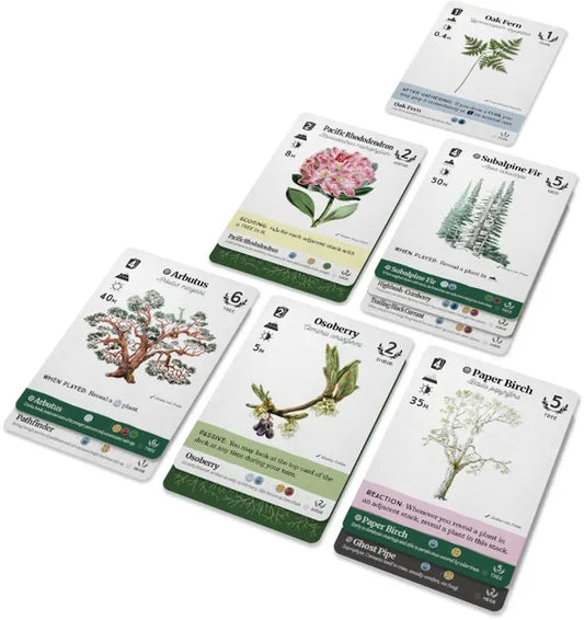 Orleans - Second Edition