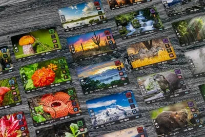 Behind the Lens: Photographing Earth